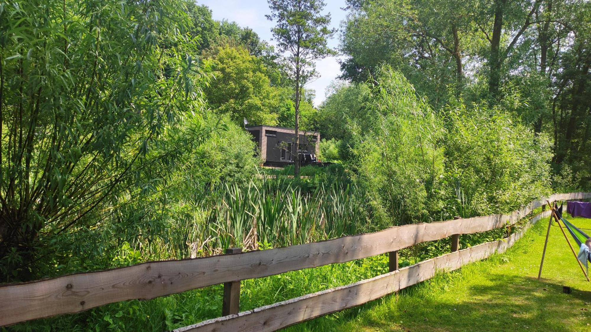 Villa Tiny House 14 - Sollberg Salzhemmendorf Esterno foto