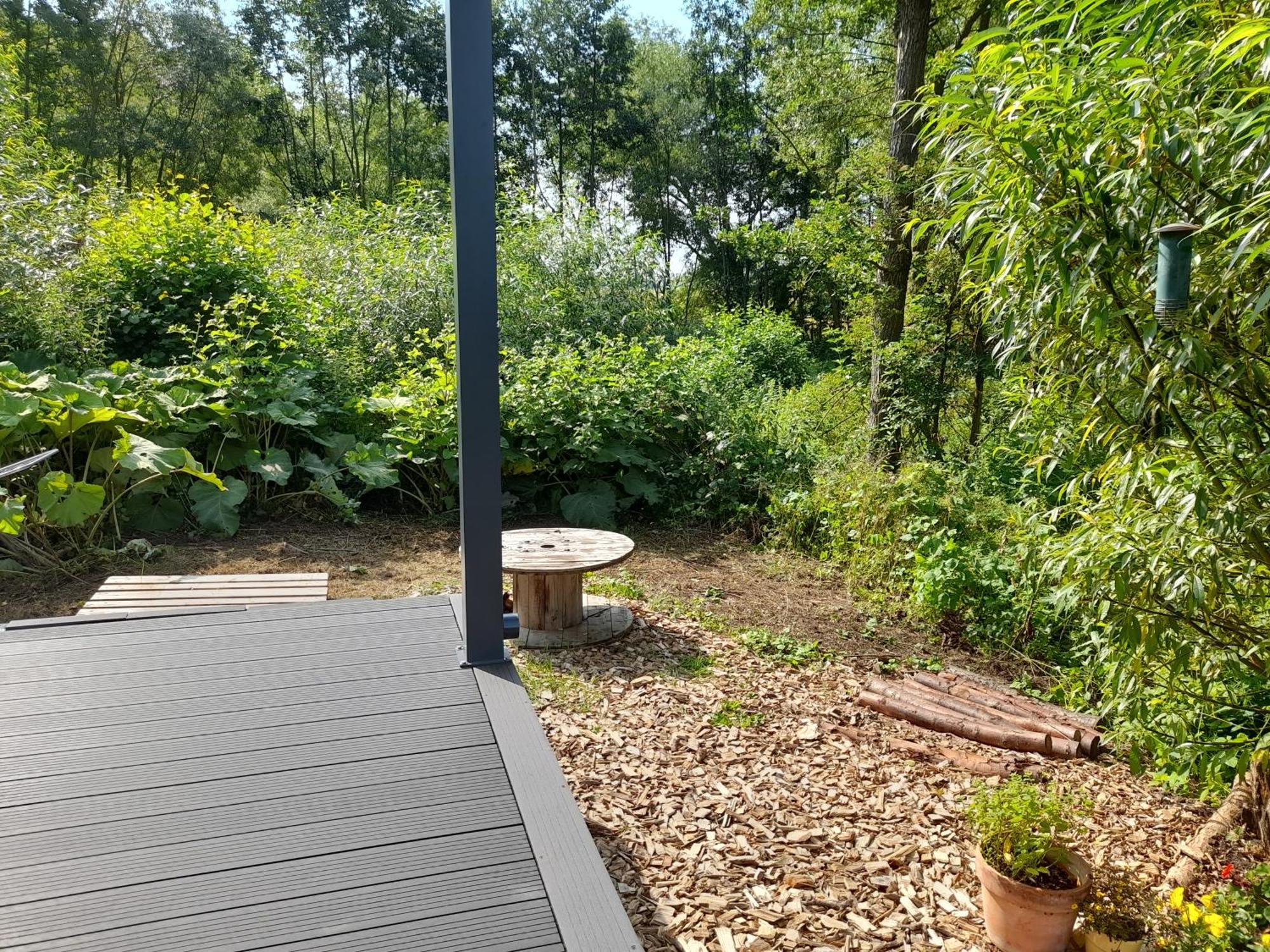Villa Tiny House 14 - Sollberg Salzhemmendorf Esterno foto